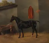 Charles Edward Brittan, Portrait of a brown horse in a stable, oil on canvas