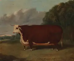 Richard Whitford, Hereford prize heifer in a landscape, oil on canvas