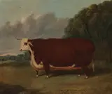 Richard Whitford, Hereford prize heifer in a landscape, oil on canvas