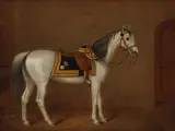 George Morley, General Officer's Charger with Horse Furniture according to the Regulations of 1874, oil on board