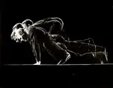 Gjon Mili, Selected Stroboscopic Images, 1943, 2 gelatin silver prints