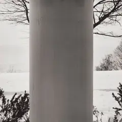 Robert Mapplethorpe, Winter Landscape (Pillar and tree), 1979, photograph