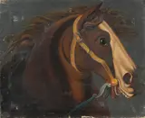 English Naïve School, A head of a horse, oil on canvas