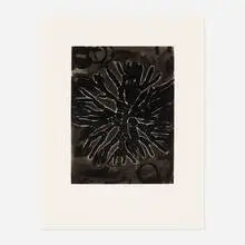 Terry Winters, Field Notes, 1992, spit bite aquatint etching