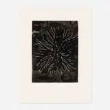Terry Winters, Field Notes, 1992, spit bite aquatint etching