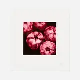 Pomegranate (from Fruits and Flowers) by Donald Sultan, 1994, screenprint in colors, sold Oct 2021