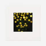 Yellow Peppers (from Fruits and Flowers) by Donald Sultan, 1993, screenprint in colors, sold Oct 2021