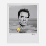 Eddie Adams, Arnold Schwarzenegger, 2003, C-print