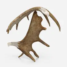 Steve Genaille, Untitled (American Bald Eagles), 2002, carved moose antler
