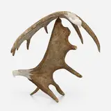 Steve Genaille, Untitled (American Bald Eagles), 2002, carved moose antler
