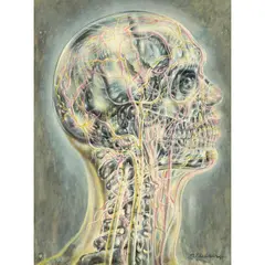Pavel Tchelitchew, The Living Shell, 1944, gouache and watercolor on paper