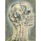 Pavel Tchelitchew, The Living Shell, 1944, gouache and watercolor on paper