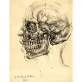 Pavel Tchelitchew, Transparent Head