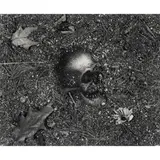 '"Vanitas" (Pictures of Soil)' by Vik Muniz, 1998, Gelatin silver print; signed, offered Nov 2023