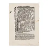 Albrecht Durer, One plate, from Ship of Fools, 1494