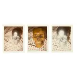 Robert Mapplethorpe, Untitled (Three Skulls)