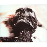 Andres Serrano, 'The Morgue (Burnt to Death)', 1992, Cibachrome print front-mounted to acrylic; signed