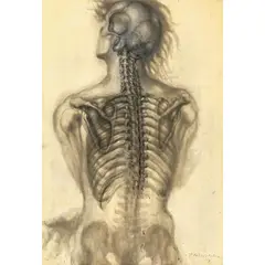Pavel Tchelitchew, Figure from Behind, Bones Exposed, 1948, gouache, pen and ink and wash on paper