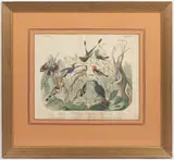 Emil Hanselmann, Two Lithographies - Birds, Around 1860, couloured lithography, paper