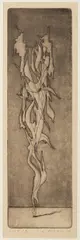 Joseph Istler, Plants, 1944, etching, paper