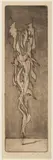 Joseph Istler, Plants, 1944, etching, paper