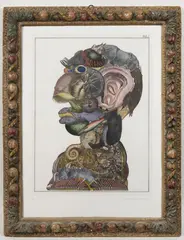 Jan Švankmajer, Arcimboldesque Head, 1975-2022, watercolour, aquatint, paper