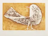 Ota Janeček, Pidgeon