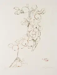 Ota Janeček, Apple Branch, 1975, drypoint, paper