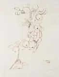 Ota Janeček, Apple Branch, 1975, drypoint, paper