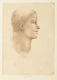 Jiří Anderle, Lika II