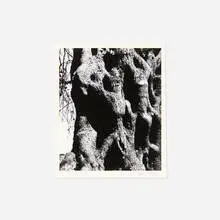 Corfu 19 by Aaron Siskind, 1970, gelatin silver print mounted to paper backing board, sold Oct 2021