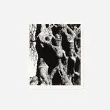 Aaron Siskind, Corfu 19