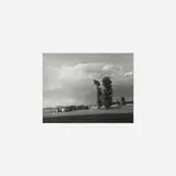 Josef Sudek, Untitled (Landscape, Two Trees and Cattle)