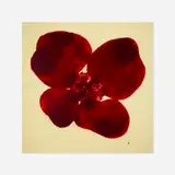 José María Sicilia, Untitled (La Luz Que Se Apaga), 1996, oil, beeswax and paper on panel