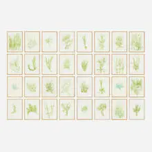 Giuseppe Penone, '33 Erbe (portfolio of thirty-three works), 1989, lithograph on paper
