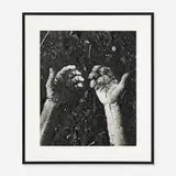 Vik Muniz, Hands (from the Pictures of Soil Series), 1997, gelatin silver print