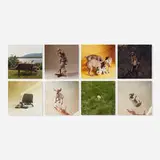 Puppies (portfolio of eight works) by William Wegman, 1989, c-print, sold Feb 2014
