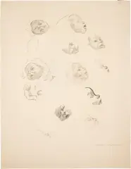 Käthe Kollwitz, Kopfstudien eines Säuglings. 1920er-Jahre, Kreide auf Ingres-Bütten