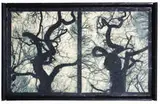 Doug and Mike Starn, Blot out the Sun 1, 1999, Inkjet print, Lysonic inks, bleached beeswax, Thai mulberry paper, and lens tissue paper in artists' frame