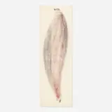 Harry Bertoia, Untitled (Monotype), c. 1965, monoprint in colors