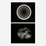 Herbert Matter, Untitled (two photograms), c. 1940, gelatin silver print