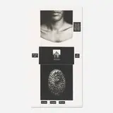 Lorna Simpson, Counting