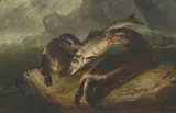 Henry Leonidas Rolfe, Otters with salmon, oil on board