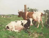 David Gauld Rsa, Ayrshire Cattle, oil on canvas