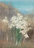 Katherine Cameron Rsw Re, Snowdrops, watercolour and pencil on paper