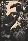 Toucans by Lionel Lindsay, 1925, wood engraving ed. 100, sold Nov 2013