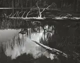 i. Siesta Lake, Yosemite National Park, California, by Ansel Adams, 1958, two silver gelatin prints, sold Dec 2013