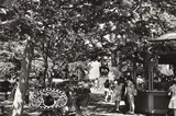 Édouard Boubat, Brooklyn,