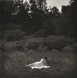 Eleanor, Port Huron, by Harry Callahan, 1954, silver gelatin print, sold Dec 2013