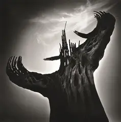 William Emmet Davis, Sequaro, Arizona, silver gelatin print